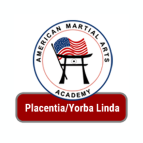 American Martial Arts Academy logo