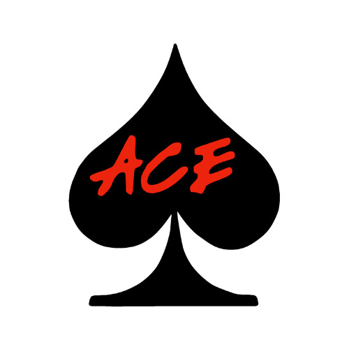 ACE Pool Repair & Remodel logo
