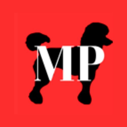 Business Logo