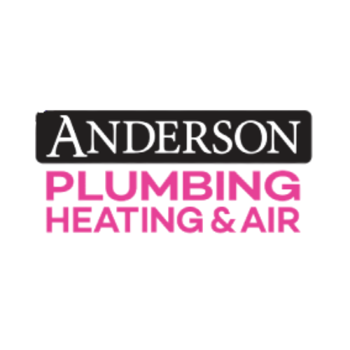 Albert Nahman Services logo
