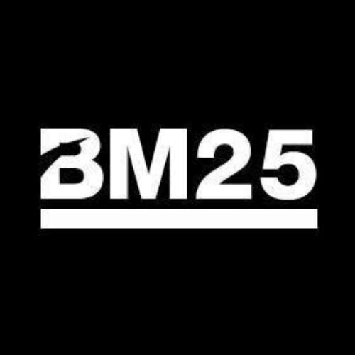 BM25 logo