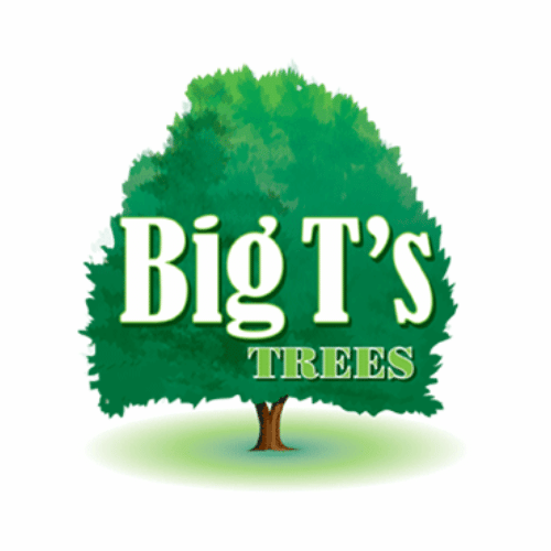 Big T's Trees logo