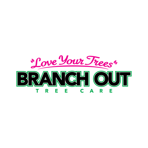 Branch Out Tree Care logo